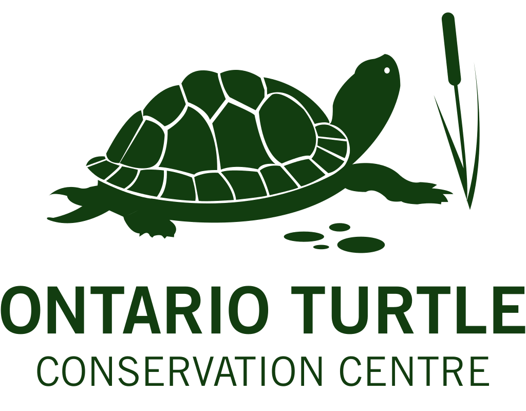 Ontario Turtle Conservation Centre